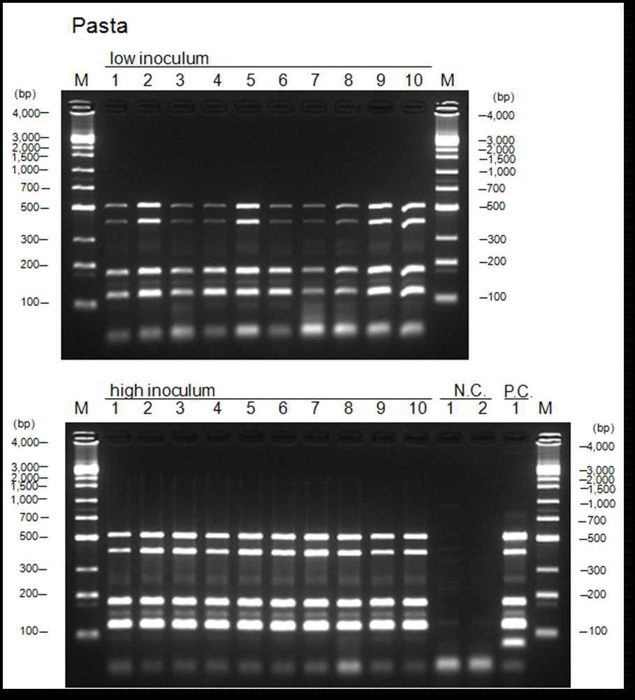 제2실험실에서 수행된 multiplex PCR detection kit에 대한 AOAC 검증 실험 결과들.