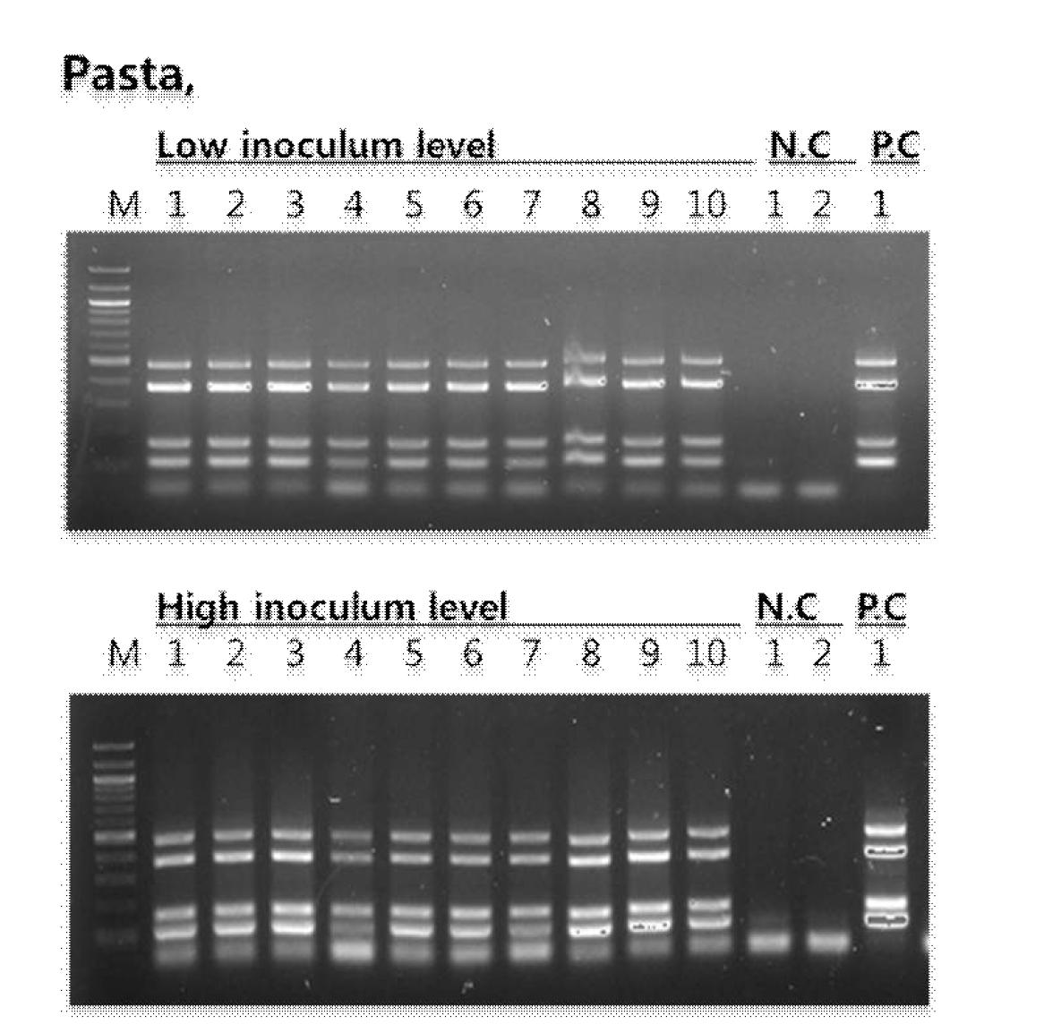 제3실험실에서 수행된 multiplex PCR detection kit에 대한 AOAC 검증 실험 결과들.