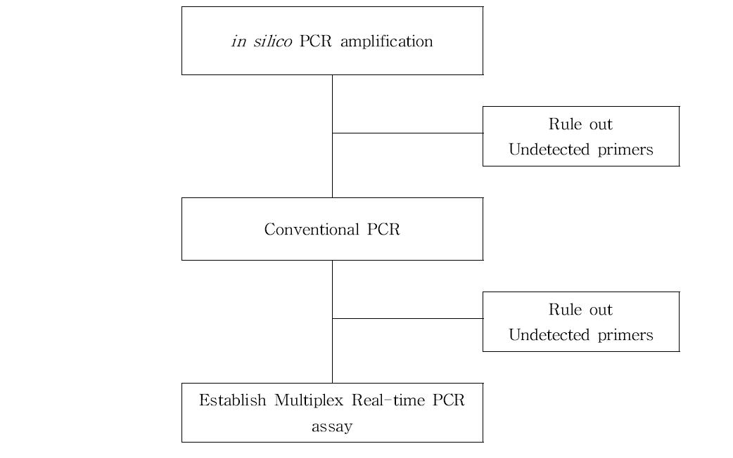 Schematic diagram for Conventional PCR primer screening