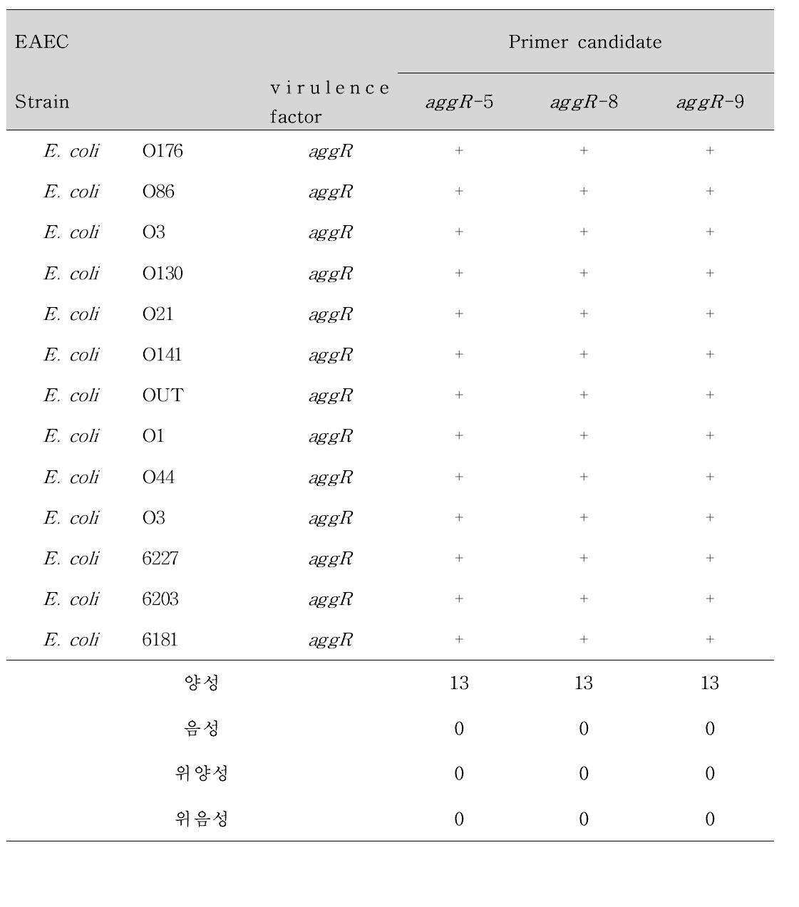 EAEC에 대한 Primer 후보군의 Conventional PCR 결과