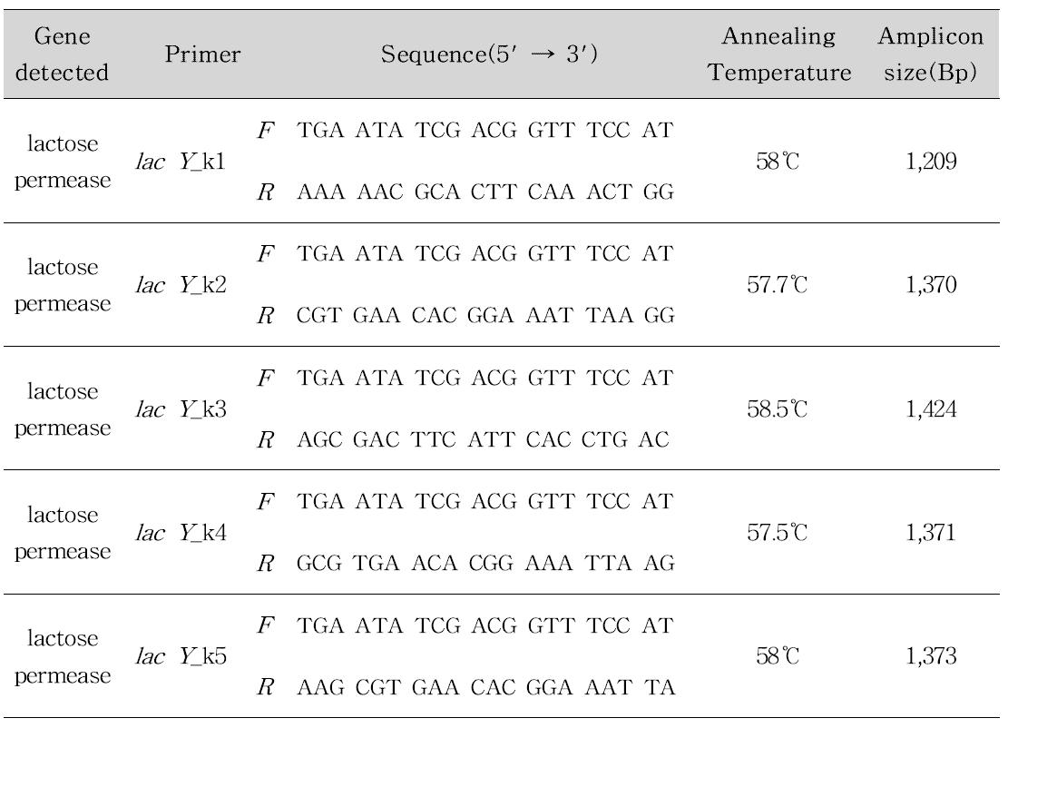 Escherichia coli species 의 lac Y 에 특이적인 Primer의 개발된 sequence