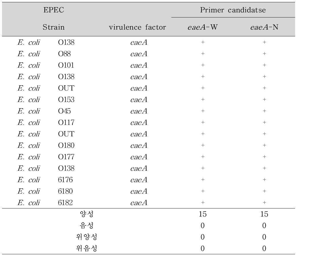 EPEC에 대한 Primer 후보군의 Real-time PCR(Probe) 결과