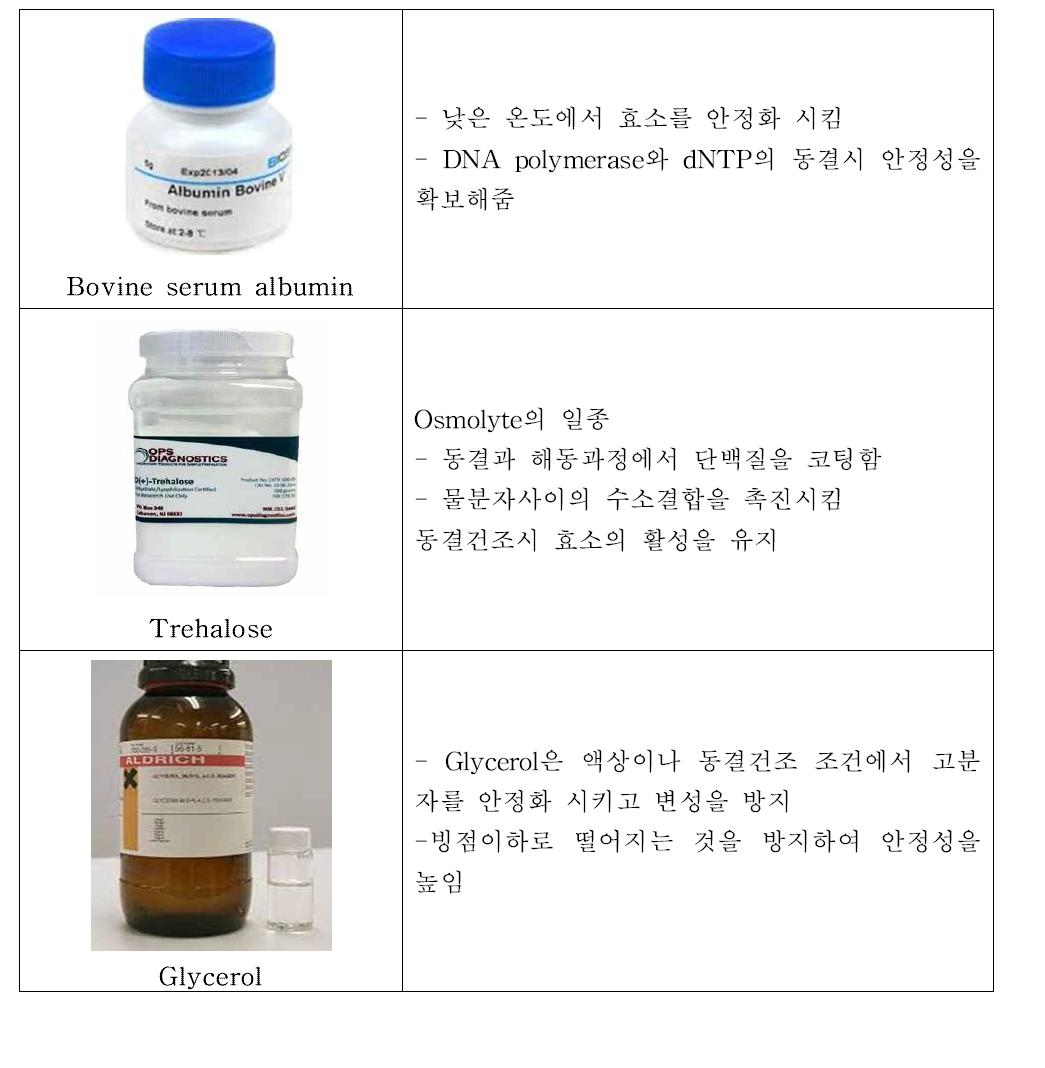 동결건조에 사용되는 동결건조 보호제에 대한 종류 및 설명