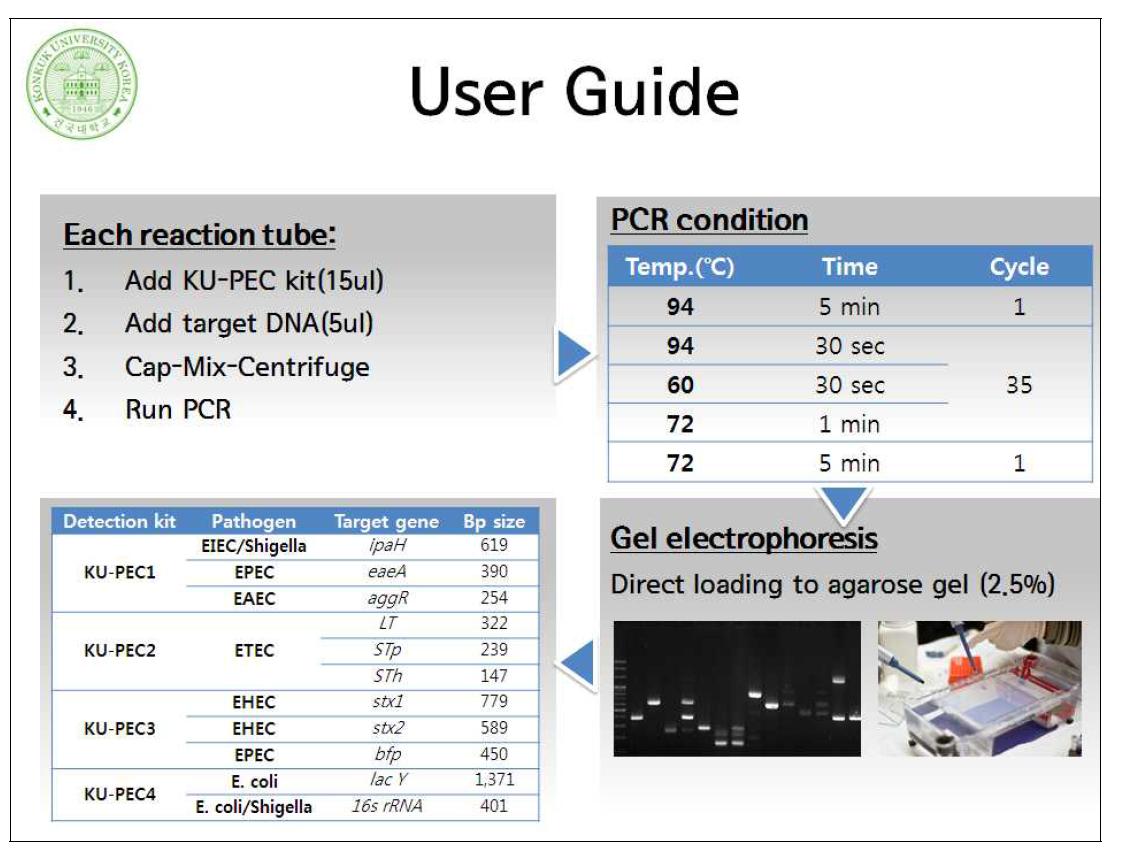 Conventional PCR detection kit에 대한 사용자 편의 차트식 실험법