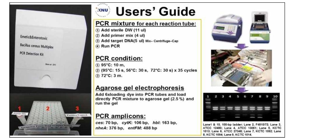 구토 및 설사형 바실러스 세레우스 세균을 동시에 검출할 수 있는 Multiplex PCR detection kit 시제품(왼쪽) 및 사용설명서 예시.