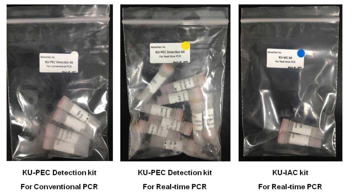 5종 병원성 대장균을 동시에 검출할 수 있는 PCR 및 Real-time PCR kit, Real-time PCR에 적용할 수 있는 Internal amplification control kit의 시제품들.