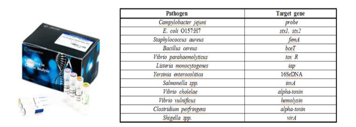 바실러스를 비롯한 다양한 병원성 세균 검출용 PCR 키트의 예
