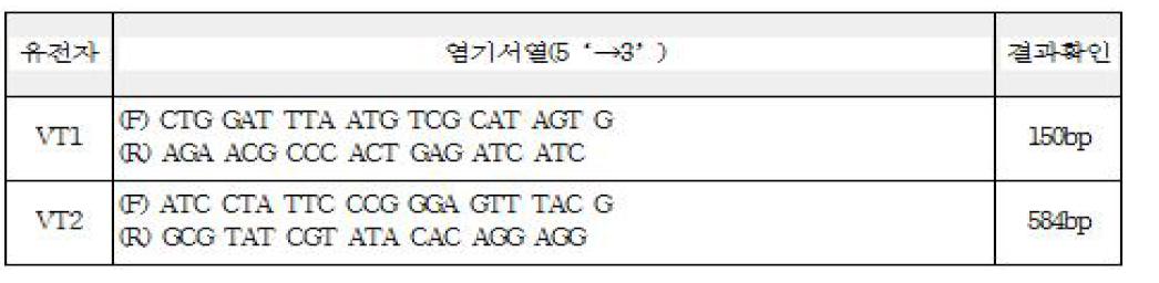 식품공전에 등재된 VT toxin 검출 method