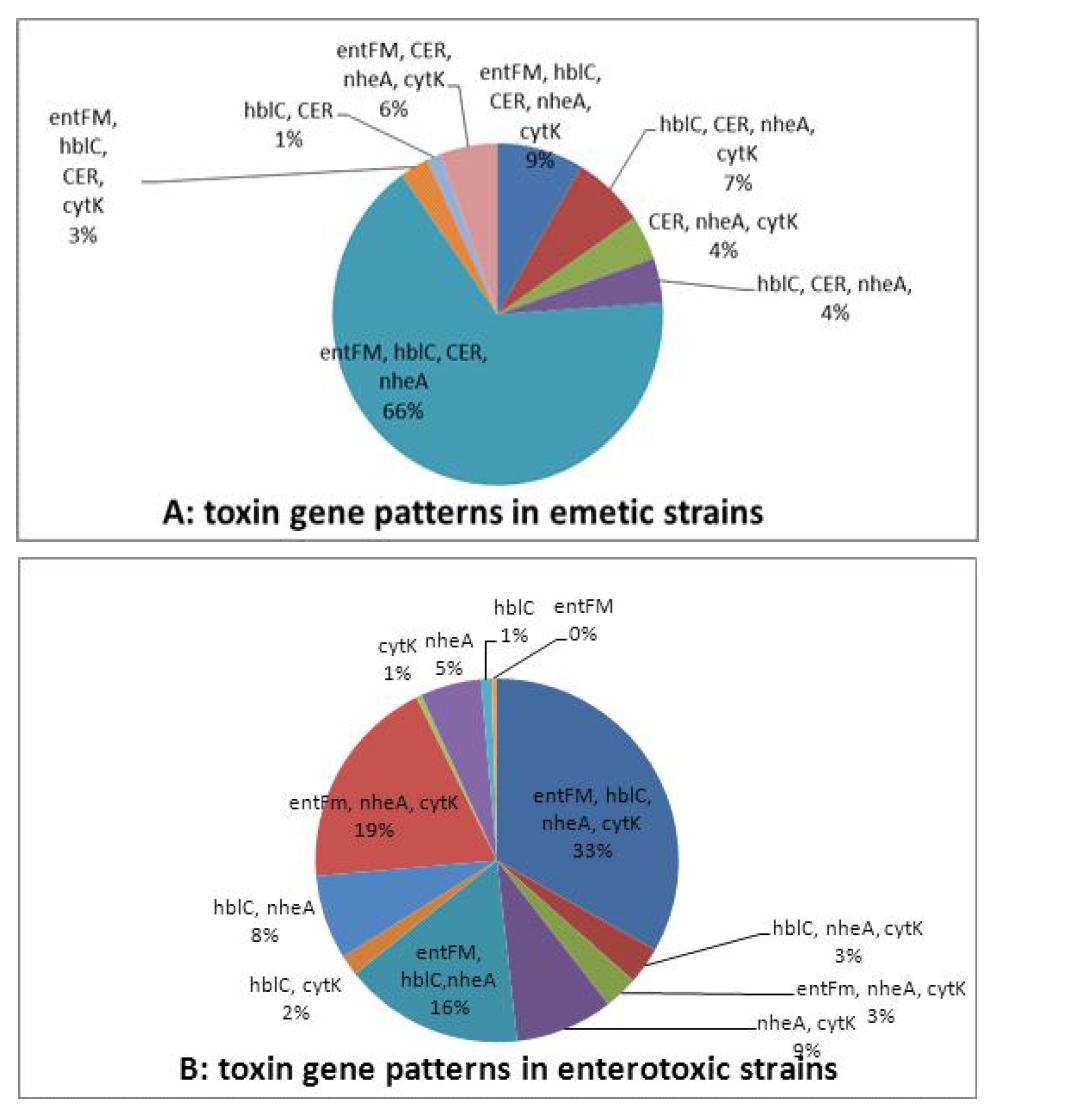 Toxic gene patterns and their prevalence among 496 wild B. cereus strains.