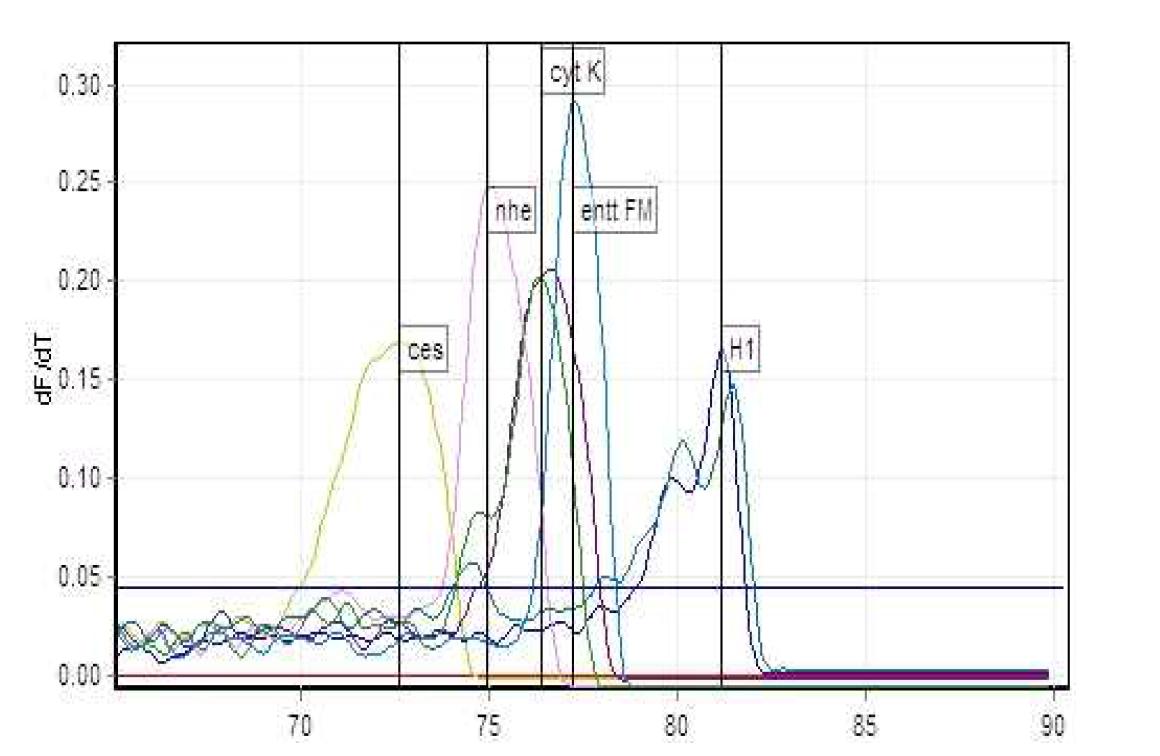 Melting curve analysis of multiplex PCR real time assay.