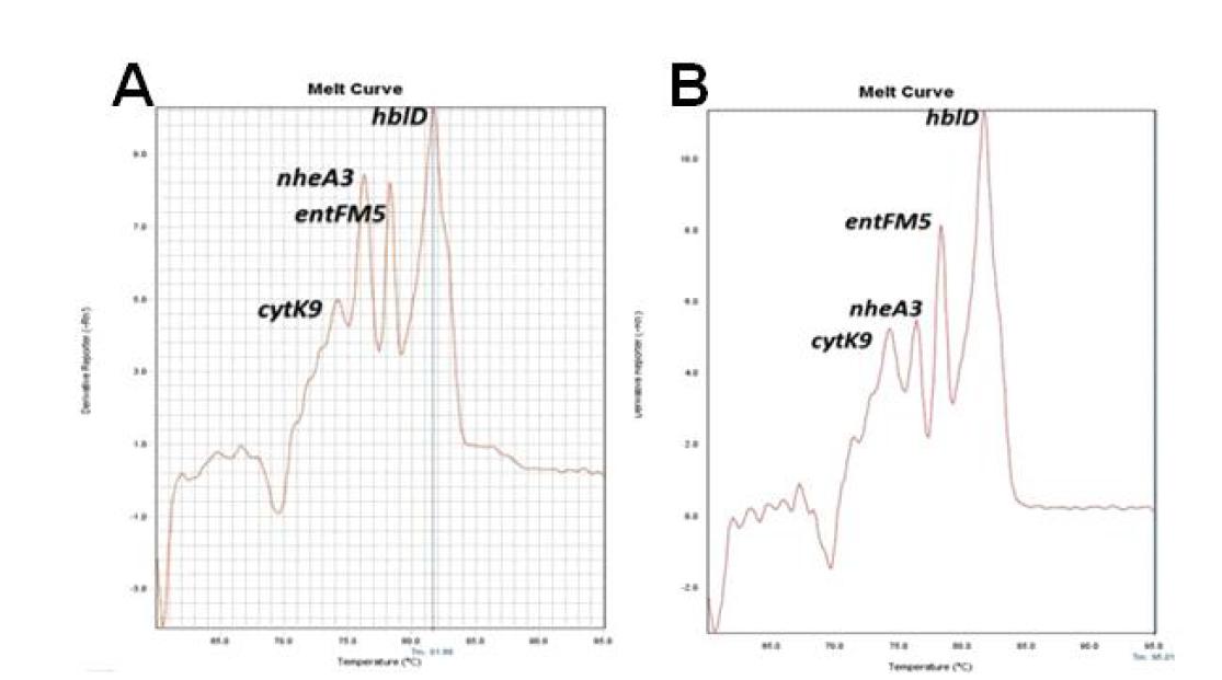 Optimization of primers concentrations in multiplex real-time PCR melt curve analysis