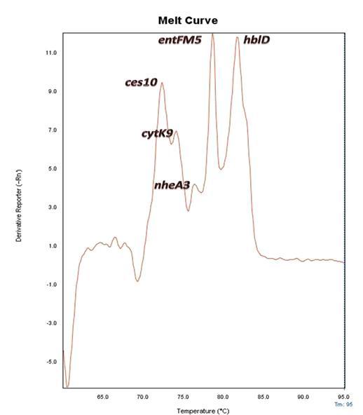 Ability of all 5 primers to work in multiplex using equal amounts of B. cereus ATCC 12480 and F4810/72.