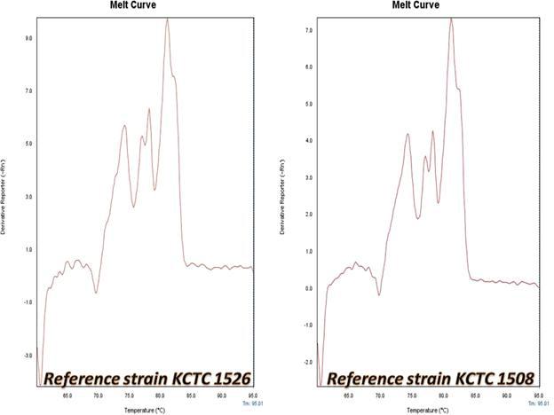 Final evaluation of the multiplex real-time PCR High Resolution Melting Curve Analysis on two reference strains.