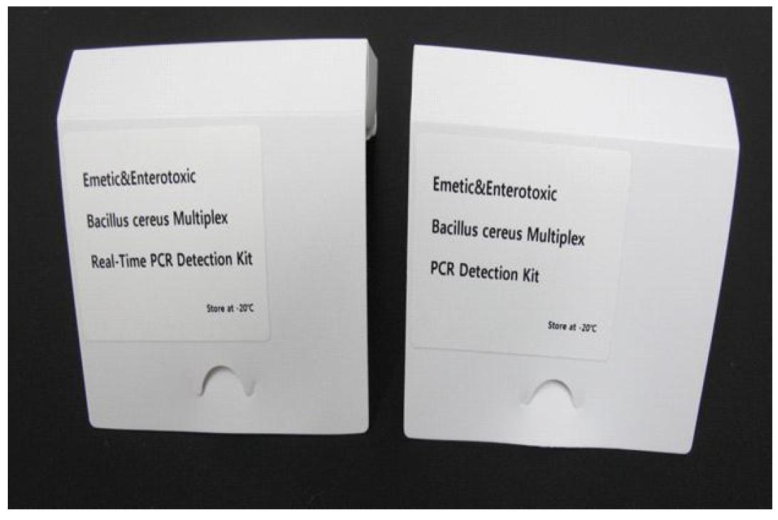개발된 각 PCR kits 시제품의 외형