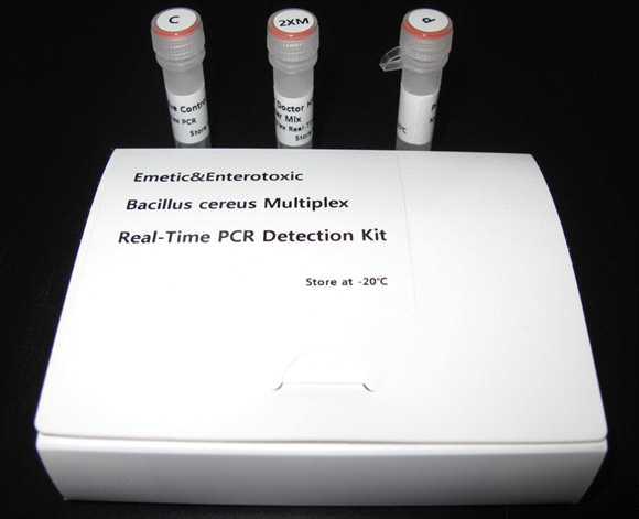 개발된 multiplex real-time PCR detection kit 시제품 키트의 내용물