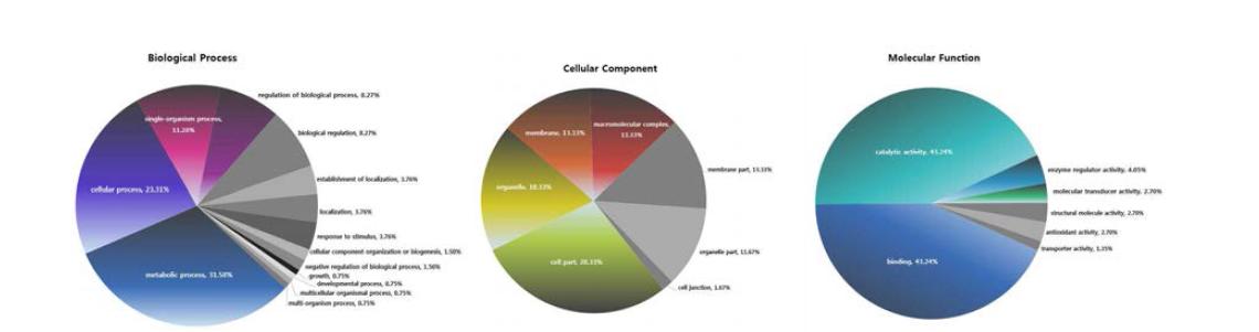 Pie charts of the second level GO terms.