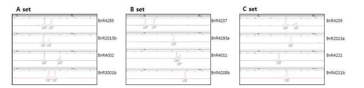 An example of the fragment analysis using multiplex PCR primer sets.