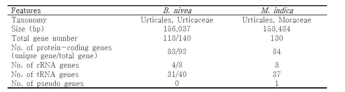 General features of the B. nivea chloroplast genome. Cp genome of M. indica that is a taxonomically closely related species was used for the comparison.