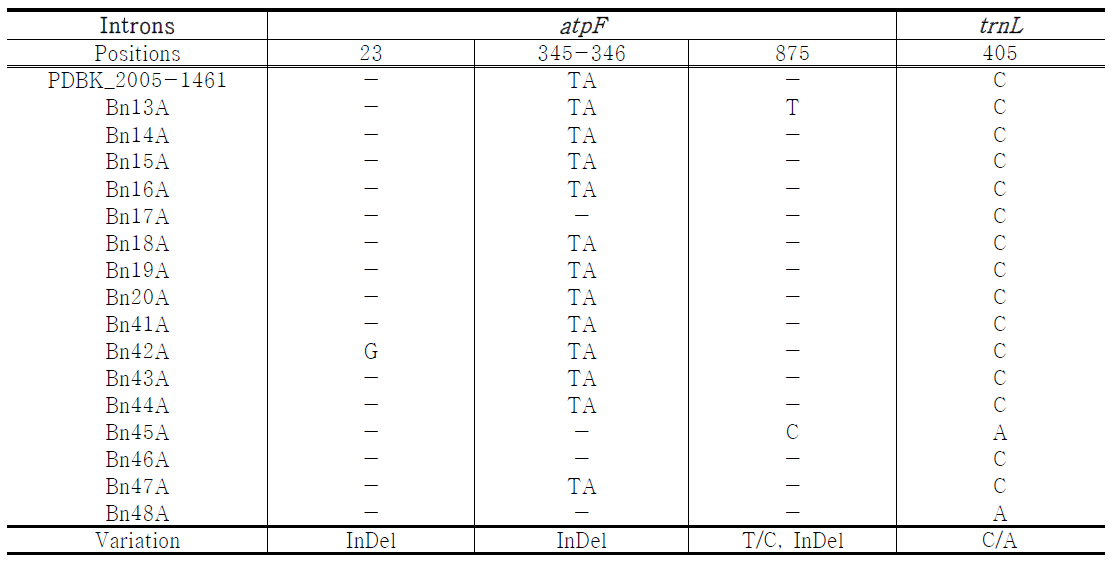 Sequence variation of atpF and trnL introns among ramie accessions.