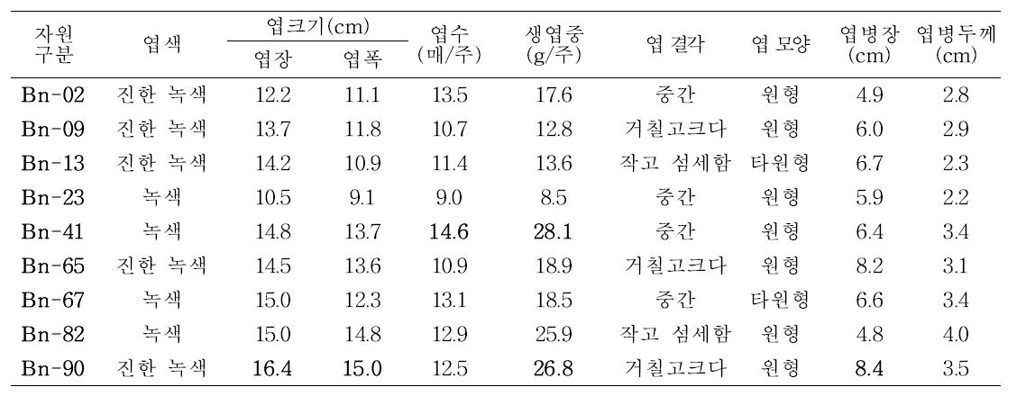 선발 9자원의 엽 특성