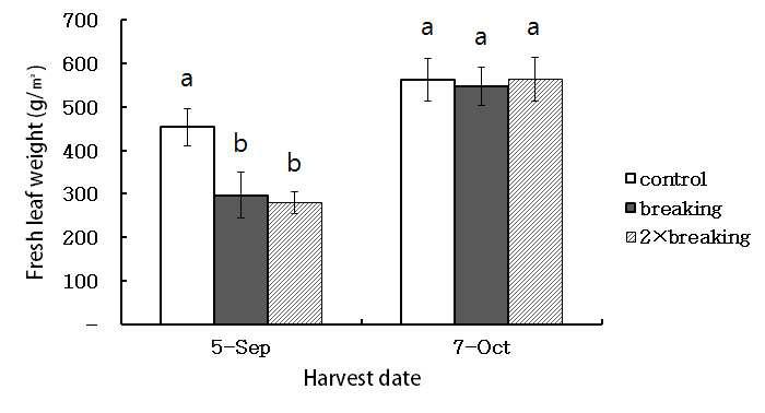 10년차 모시재배 토양에서 심토파쇄 처리 후 수확시기(9, 10월)에 따른 생엽수량 비교, 2013년> 평균값 ± 표준오차 (n = 3 반복). 95% 수준에서 유의성 검정 (던컨검정)