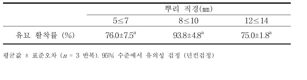 모시뿌리 직경에 따른 유묘 활착률 비교