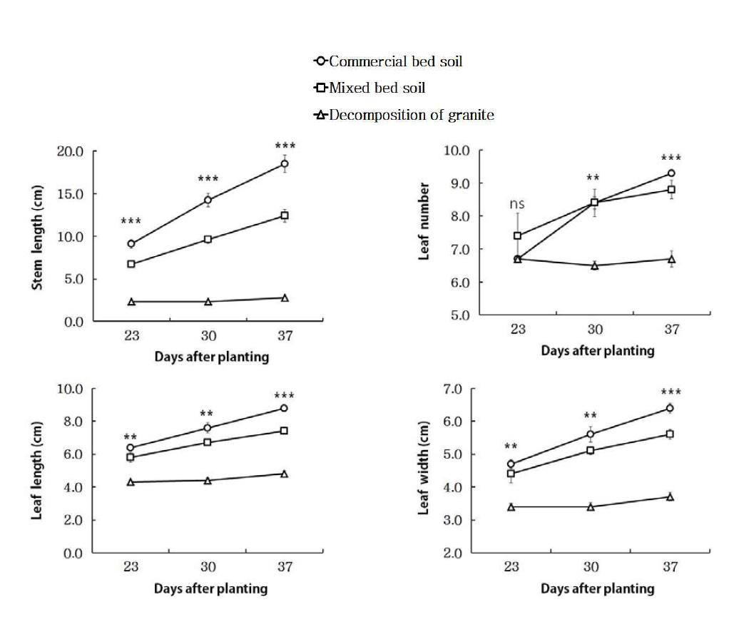 상토 구성에 따른 활착이후 유묘생장 반응 비교