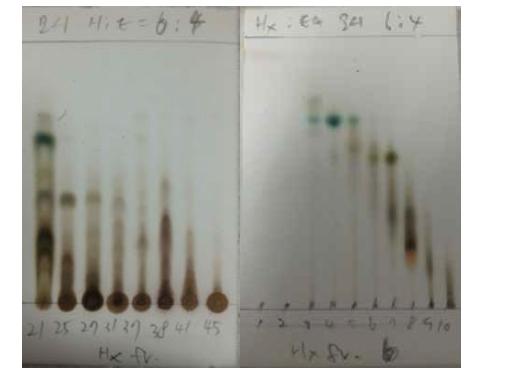 모시 hexane 층 6번 fr.의 재컬럼 전 후 TLC사진