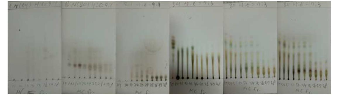 CH2CL2 fr.에서 분리된 물질의 TLC사진