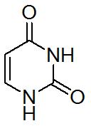 Pyrimidinedione의 구조