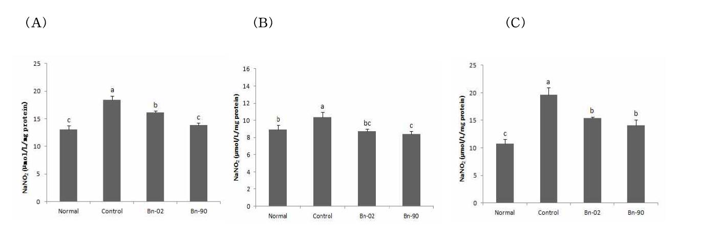 Effect of administration of Boehmeria nivea (L.) Gaud. methanol extract on Aβ25-35-induced NO formation in mouse brain (A), kidney (B), liver (C)