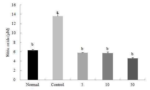 Effect of rutin from B. nivea on NO scavenging activity of C6 glial cells treated with SNP