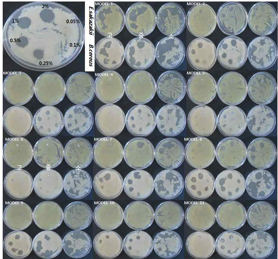 선발된 11종의 surfactant의 농도별 항균 및 효능평가 결과