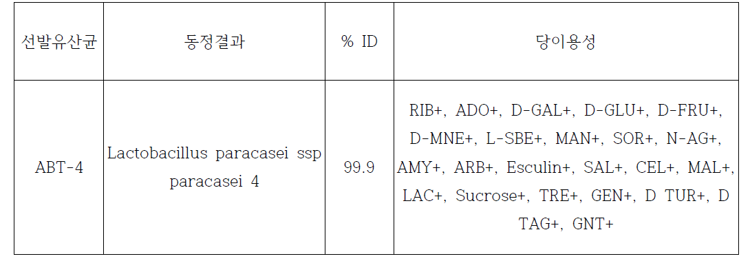 선발유산균 동정결과
