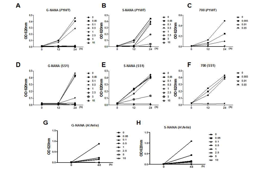 NANA와 700을 각각 H. pylori strain P1WT (A-C), strain SS1 (D-F), 그리고 H. felis (G and H)와 함께 처리 후 표시된 시간에 따라 흡광도를 측정함