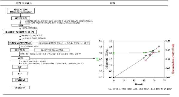 실험실적 Neuraminidase 생산법 정립을 의한 소형 Scale(30L)시제 공정도