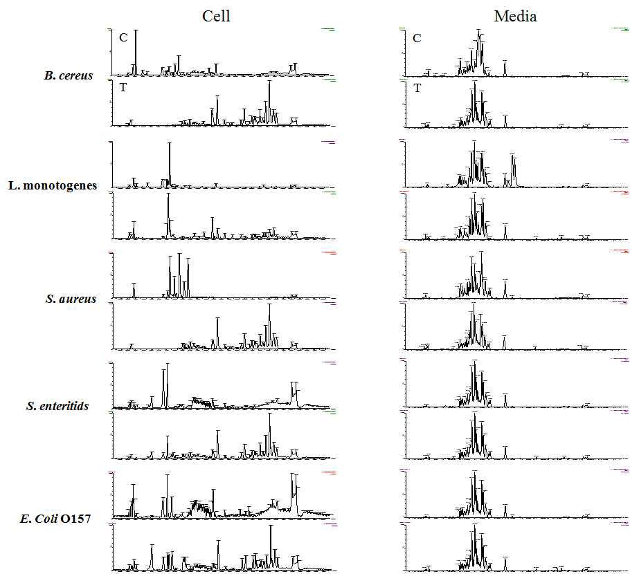 Representative GC/MS profiles of Y. enerocolitica and its media treated with quorum sensing agent.