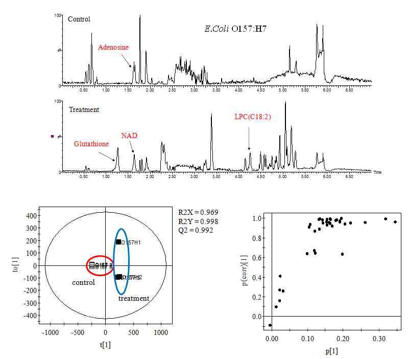 Representative LC/MS profiles of E. coli, treated with the mixture of antimicrobial compounds and PLS-DA scores and S-plots.