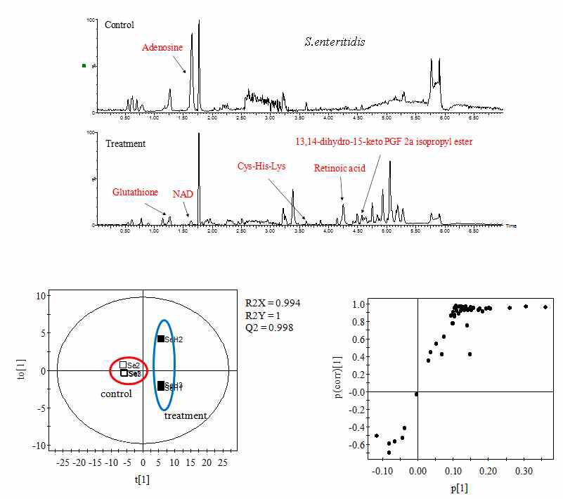 Representative LC/MS profiles of S. enteritids treated with the mixture of antimicrobial compounds and PLS-DA scores and S-plots.