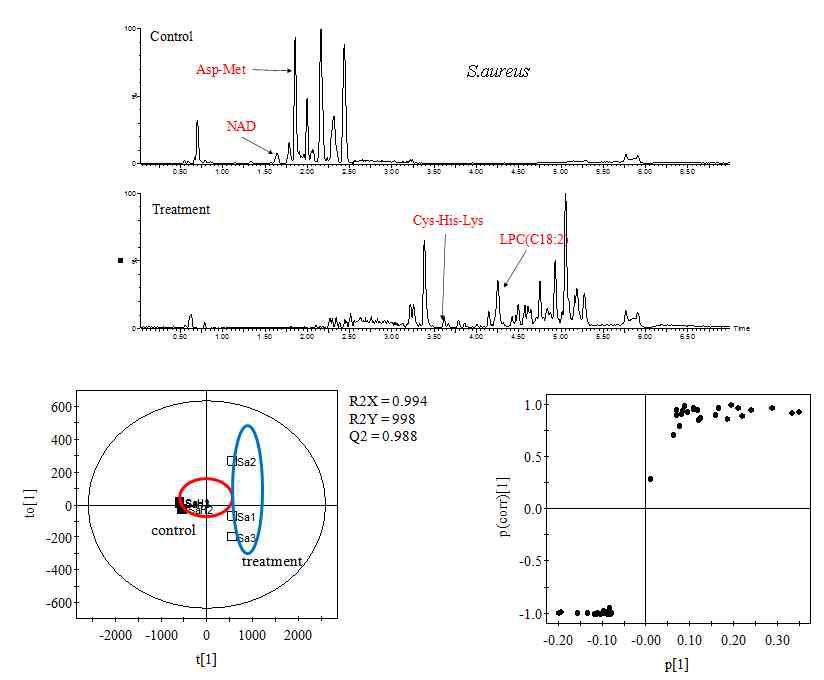 Representative LC/MS profiles of S. aureus treated with the mixture of antimicrobial compounds and PLS-DA scores and S-plots.