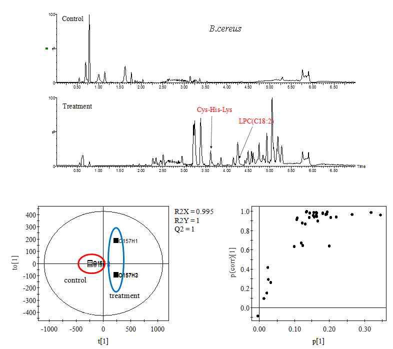 Representative LC/MS profiles of B. cereus treated with the mixture of antimicrobial compounds and PLS-DA scores and S-plots.