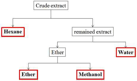 70% 주정추출물의 활성 성분 분획 모식도