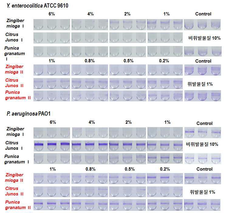 Effect of the solvent fractions on biofilm formation of Y. enterocolitica and P. aeruginosa.