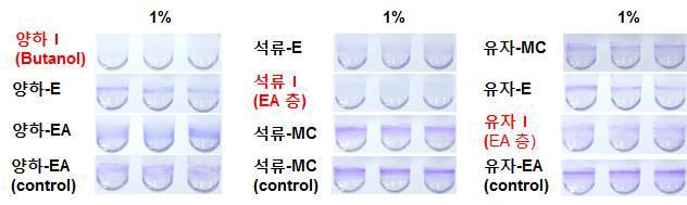 Effect of the solvent-solvent fractions on biofilm formation of Y. enterocolitica.