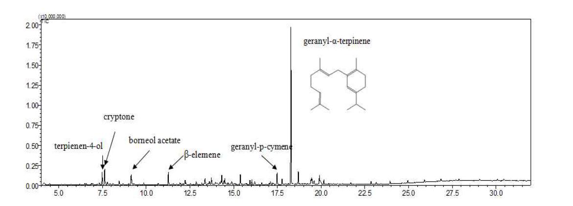 GC/MS chromatogram of SDE extract (Ⅱ) from the root of Zinger mioga.