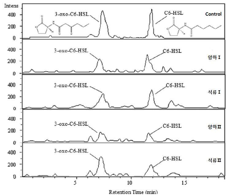 LC-MS/MS chromatograms of 3-oxo-C6-HSL and C6-HSL present in the supernatant from Y. enterocolitica control and from cultures supplemented with bioactive compounds.