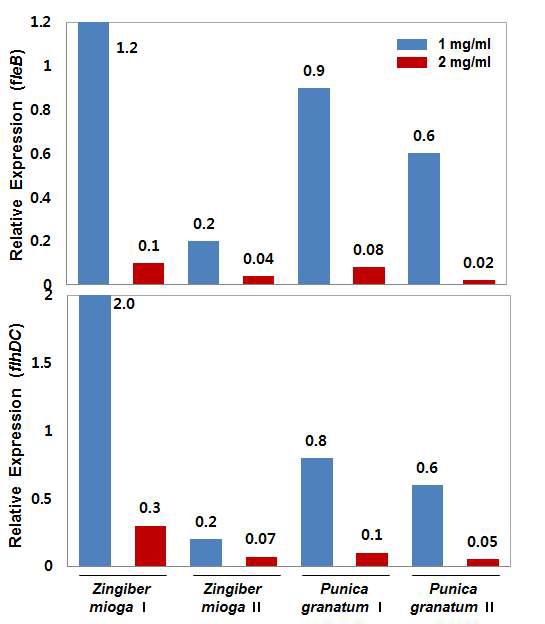 Differential expression of fleB and flhDC in Y. enterocolitica in the presence of bioactive compounds (1 and 2 mg/ml).