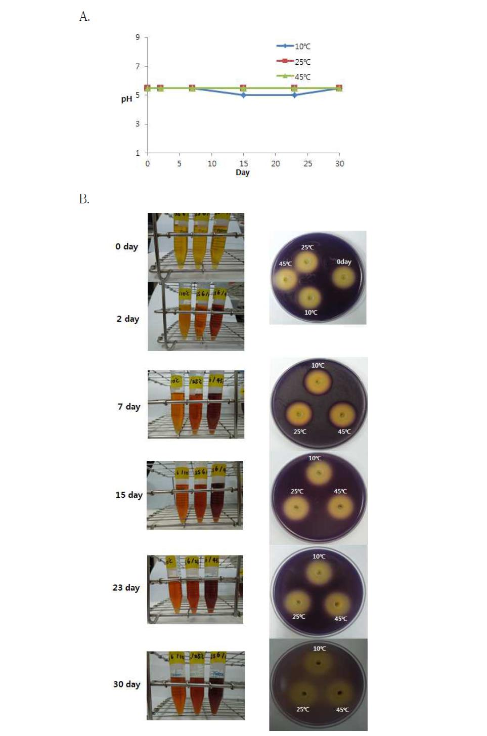 Change in anti-quorum sensing compound 6 by storage temperature and period.