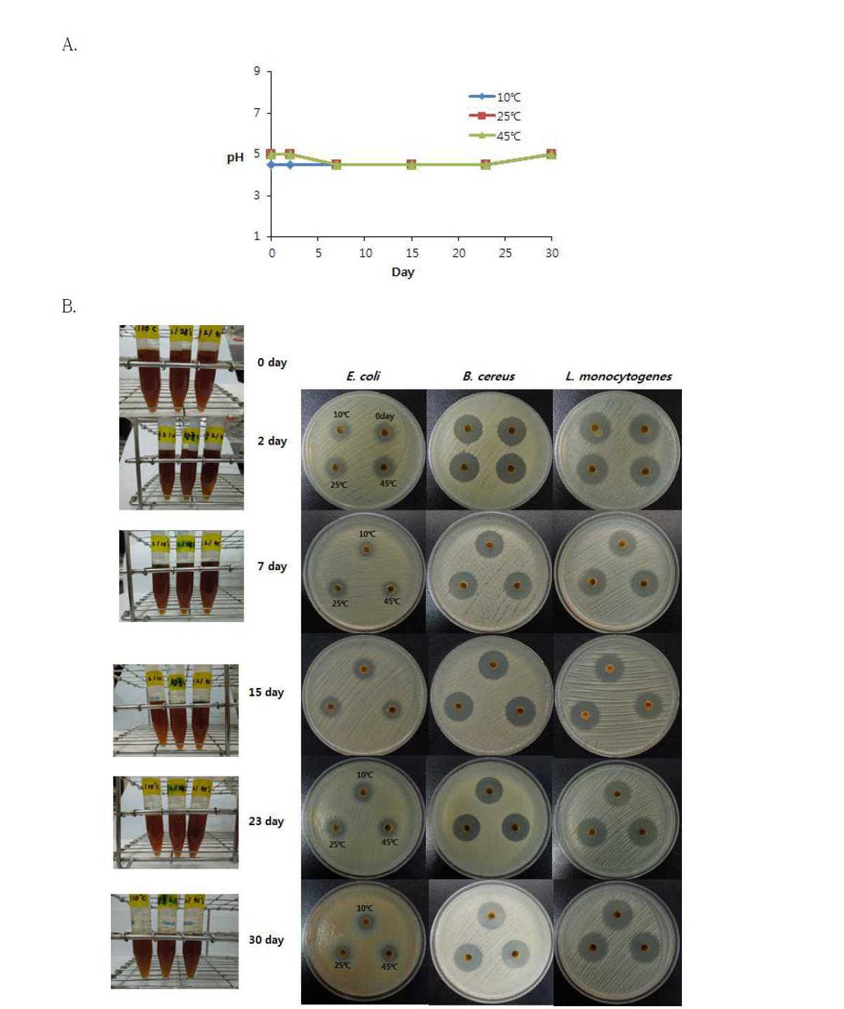 Change in antibacterial compound 2 by storage temperature and period.