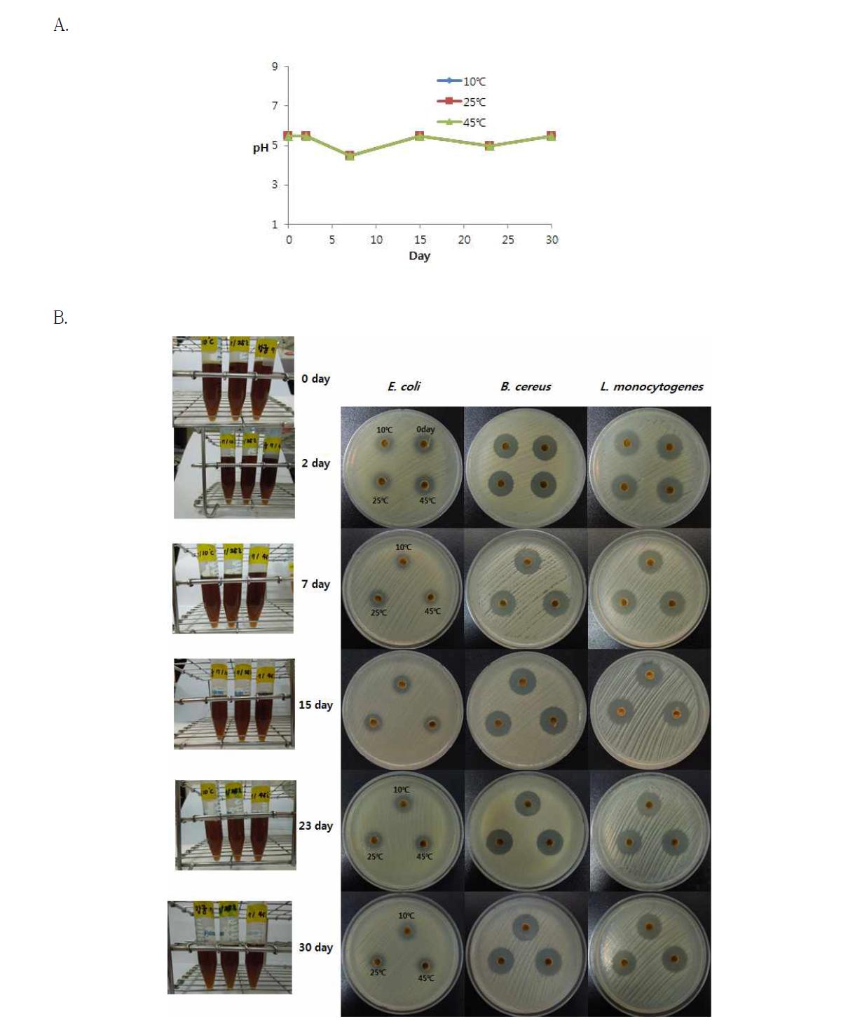 Change in antibacterial compound 7 by storage temperature and period